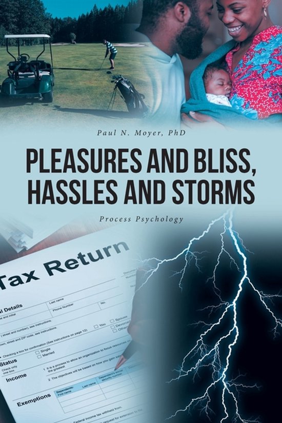Pleasures and Bliss, Hassles and Storms - cover