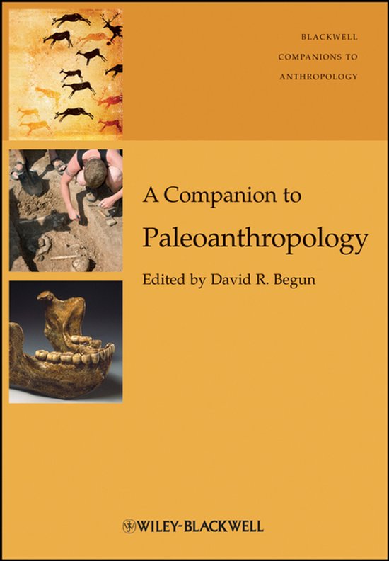 Wiley Blackwell Companions to Anthropology - A Companion to  ... - cover