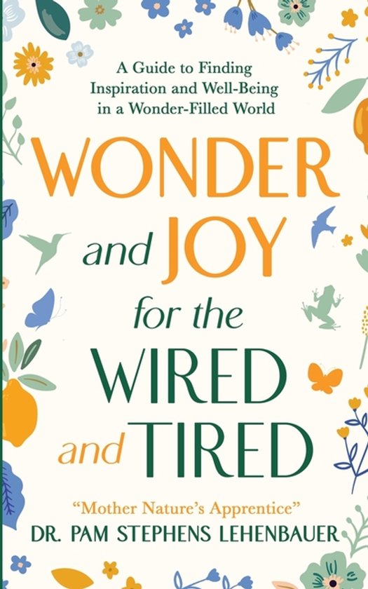 Wonder and Joy for the Wired and Tired - cover