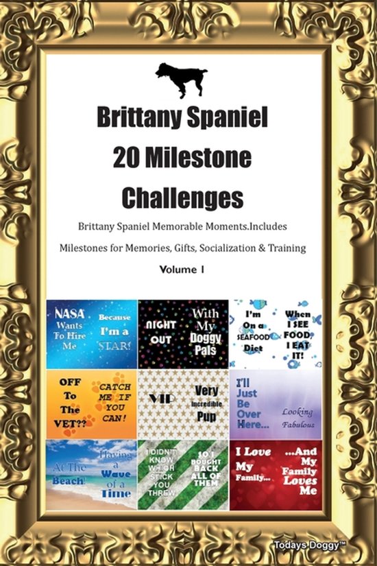 Brittany Spaniel 20 Milestone Challenges Brittany Spaniel Me ... - cover