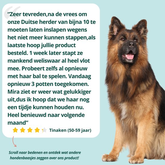 Grote Duitse herder met een tevreden blik. Een tekst van Tinaken (50-59 jaar) over hoe het product haar hond helpt.
