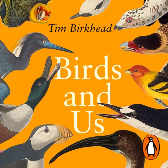 Birds and Us - cover