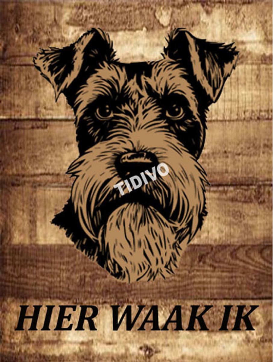 Airedale Terrier 20