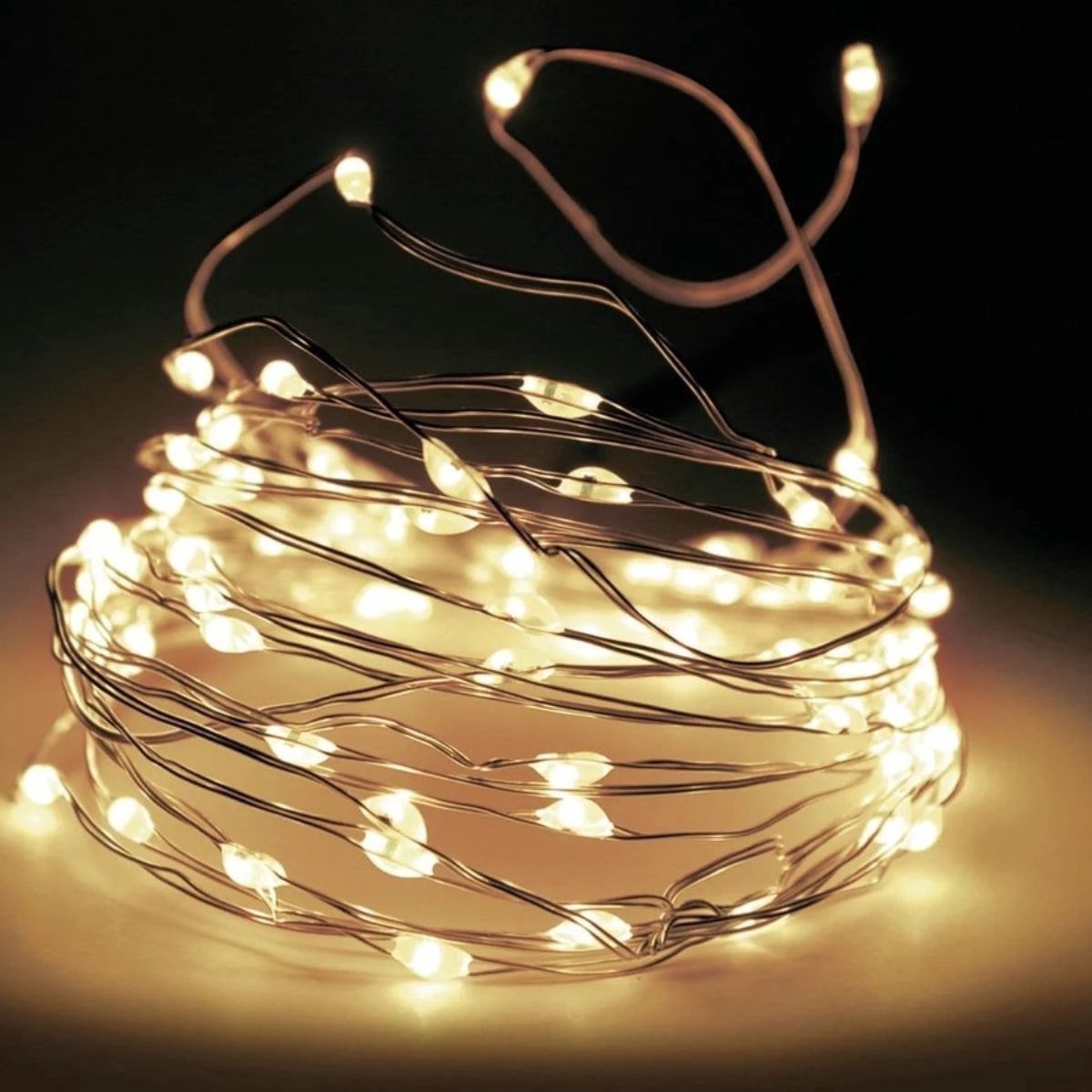 STEGGER - kerstverlichting - Lichtsnoer - Flesverlichting 20 LED zilverdraad warm wit