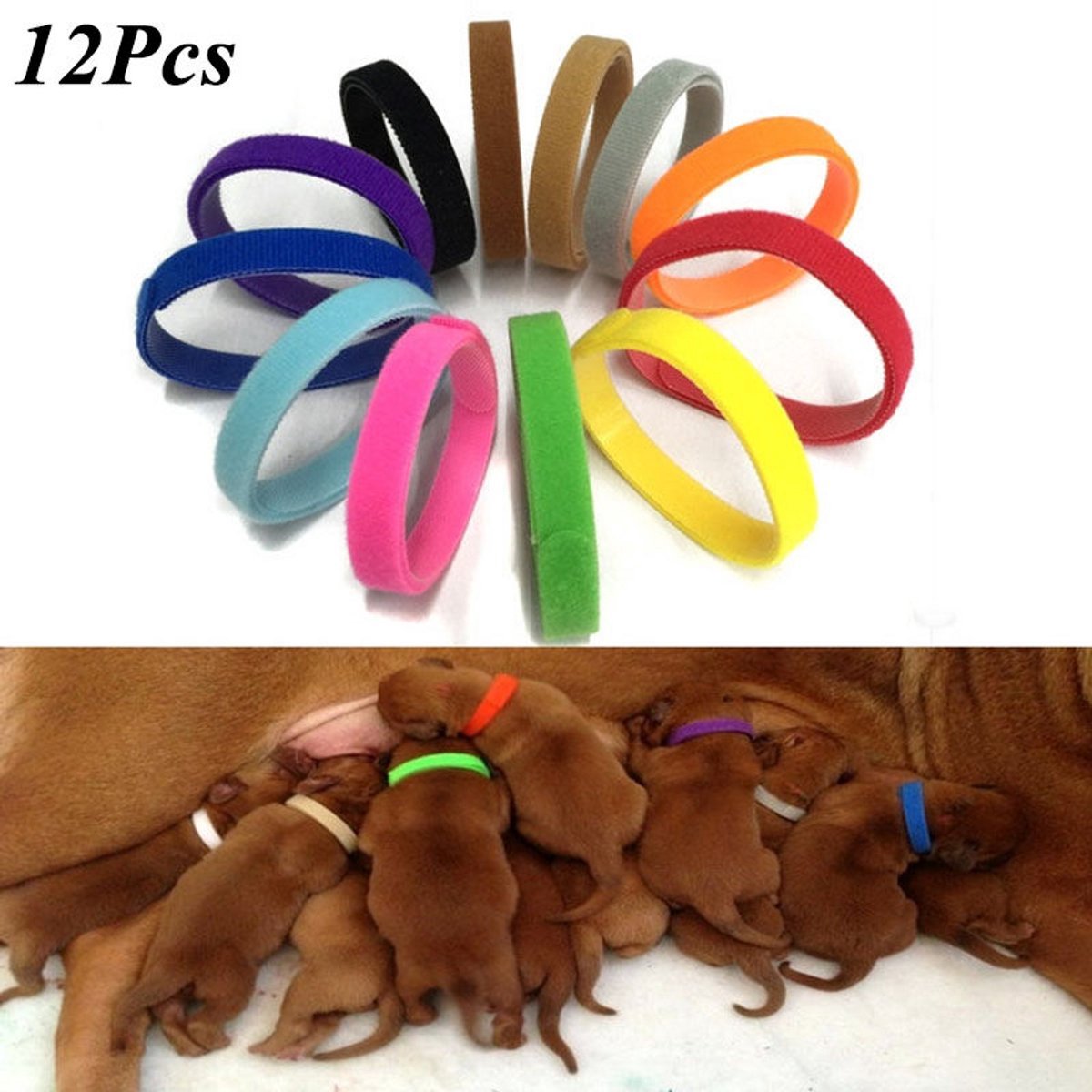 Jonyx - Puppy halsbandjes - Identificatiebandjes - Riempjes - 12 stuks in verschillende kleuren