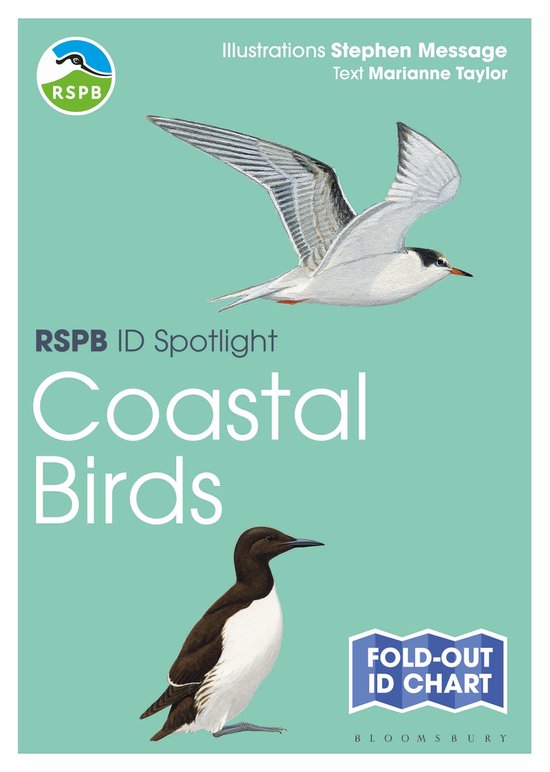 RSPB ID Spotlight  Coastal Birds