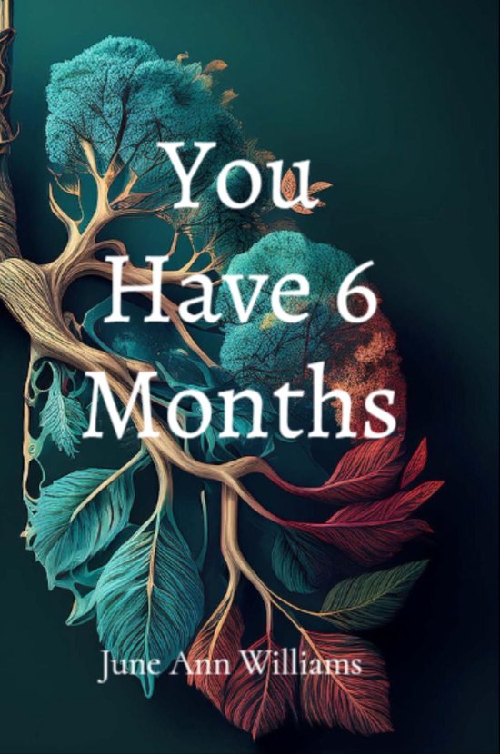 You Have 6 Months - cover