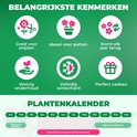 Iconen die de kenmerken van de amaryllis tonen: goed voor snijden, ideaal voor potten, komt elk jaar terug, weinig onderhoud, winterhard en perfect cadeau.