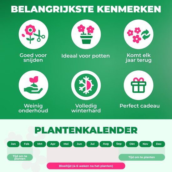 Iconen die de kenmerken van de amaryllis tonen: goed voor snijden, ideaal voor potten, komt elk jaar terug, weinig onderhoud, winterhard en perfect cadeau.