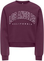 NAME IT Nkfviloui LS RLX Sweat Bru - Felpa Invernale Bambine E Ragazze, Girocollo, Maniche Lunghe, Morbida