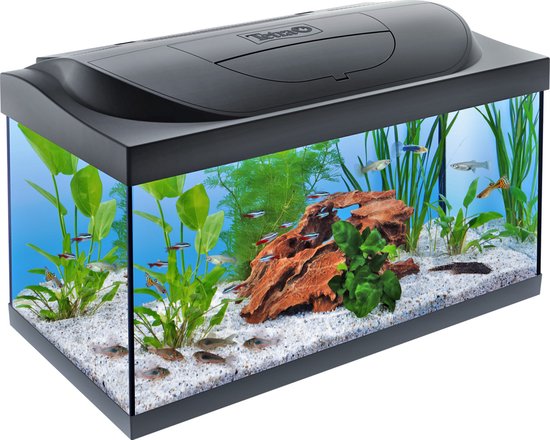 Tetra aquarium starter line - LED - 54L - 61x36x31cm - Zwart