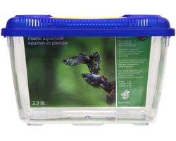 Boon Aquarium Plastic Blauw Deksel 2.3 Liter