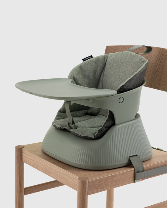 Hannie Draagbare Kinderstoel – Kinderzetel – Opvouwbaar & Compact – Stoelverhoger van 6 Maanden tot 5 Jaar – Sage Green