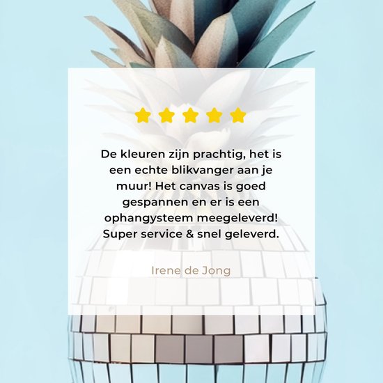 Canvas schilderij 200x100 cm - Exclusieve wanddecoratie Blauw - Ananas - Disco - Discobal - Muurdecoratie accessoires - Keuken decoratie muur - Schilderijen op canvas