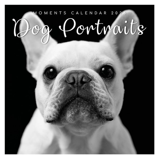 Dog Portraits - 2026