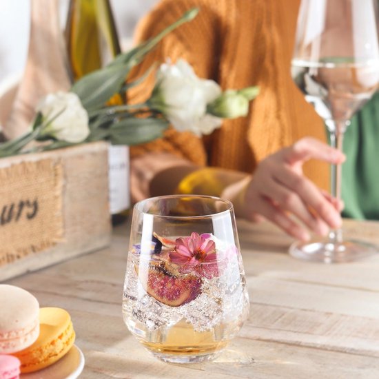 Stolzle Longdrink Revolution 39 cl - Transparent 6 pièces