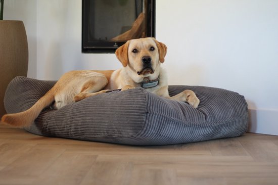 Dog’s Companion Hondebed grijs