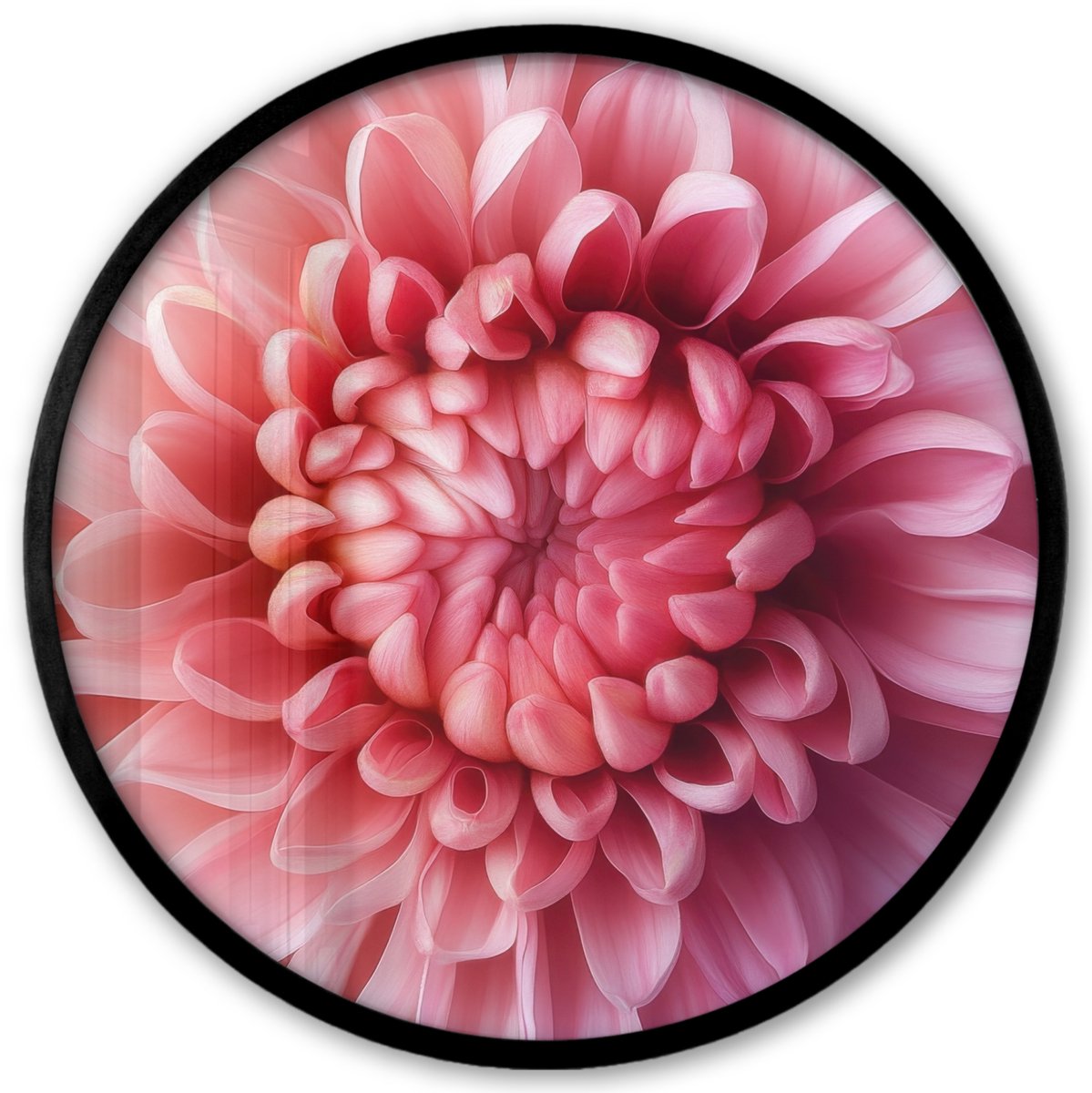 FrameYourWall Poster in lijst Rond - Fotolijst 40x40 cm - Posters - Dahlia - Bloem - Close up - Roze - Ronde posterlijst zwart - Decoratie - Wanddecoratie woonkamer - Muurdecoratie slaapkamer