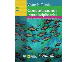 Excelencia académica - Constelaciones interdisciplinarias