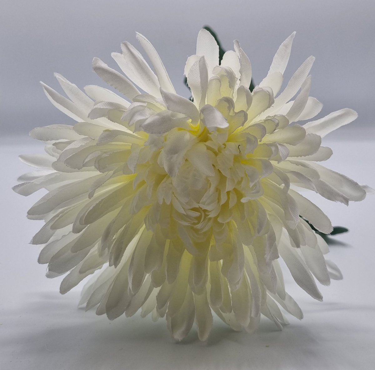 Bol Chrysant (Spin) - P14/03 - 65 cm - Wit - 1 bloem - 1 tak - Grafdecoratie - Zijdenbloemen - Kunstbloemen