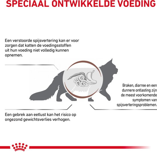 Speciaal ontwikkelde voeding: De spijsvertering en gewichtsverlies van een kat.