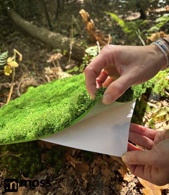 MOSS concepts Moswand paneel rendiermos springgroen