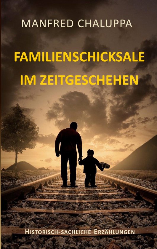 Familienschicksale im Zeitgeschehen - cover
