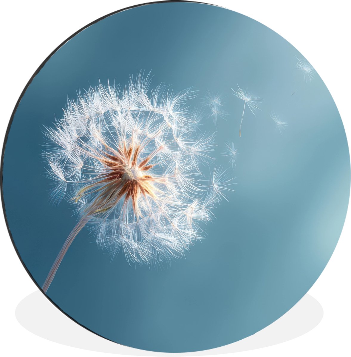 WallCircle Wandcirkel - Muurcirkel - Paardenbloem - Wind - Blauw - Aluminium - Dibond - 60x60 cm - Binnen en Buiten