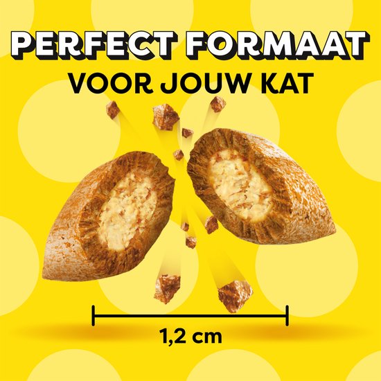 Dreamies Ördekli Kedi Ödül Bisküvisi 60 gr (6'lı