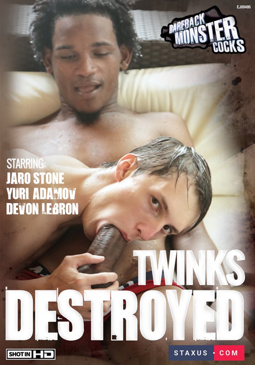 Twinks Destroyed DVD (Staxus)