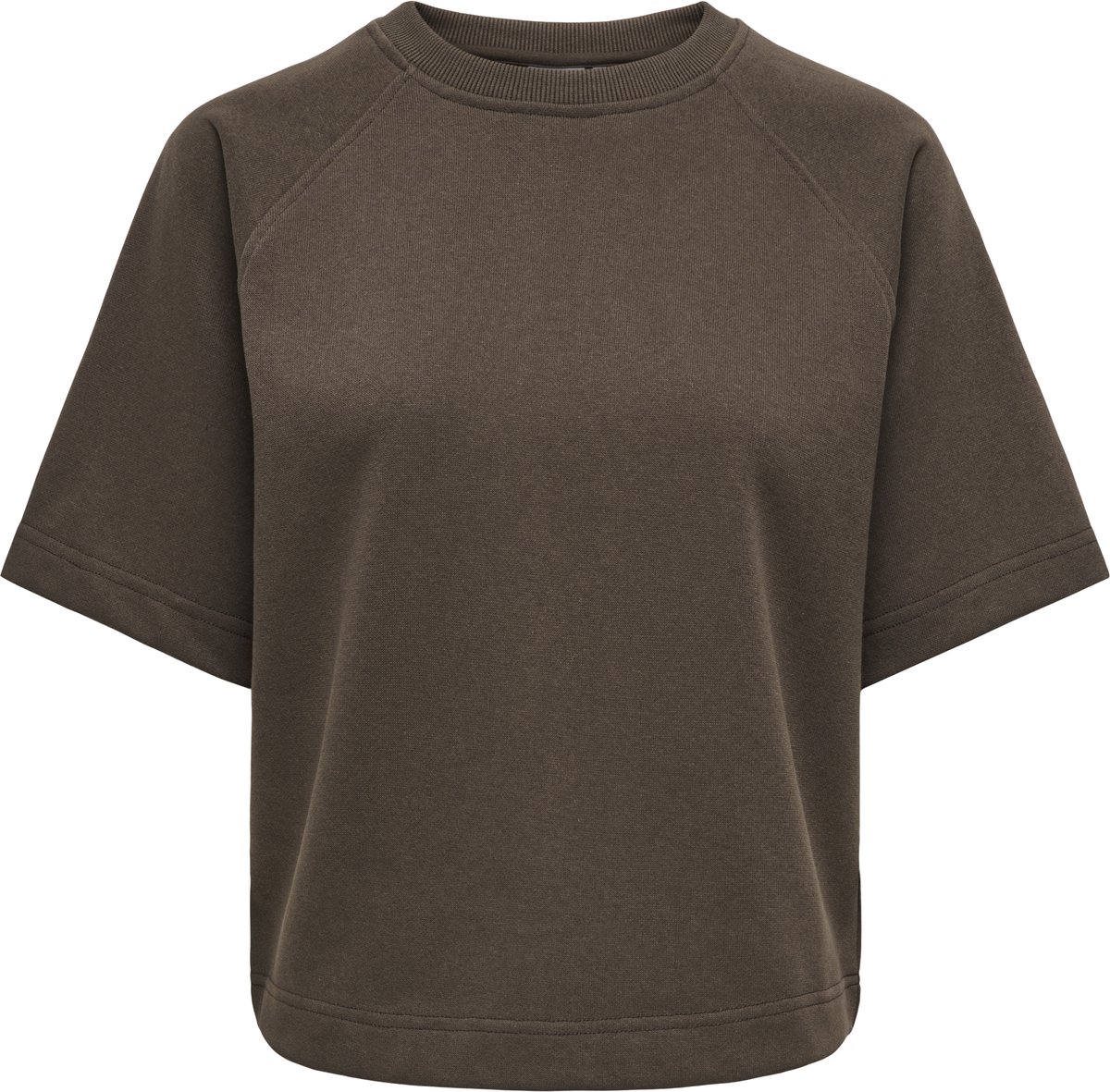 ONLY- ONLOFELIA SS RAGLAN UB CC SWT - Dames - Sweatshirt