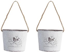 Rustiek Metalen Bloemen Vaas - Set van 2 - Plantenpot Ophangen - Plantenhanger - Ijzer - met Jute Touw - Boerderij Vintage Vogel Decor Ontwerp - Perfect Voor Binnen en Buiten, Woning, Kantoor en Tuindecoratie - 17*10*14CM - Wit