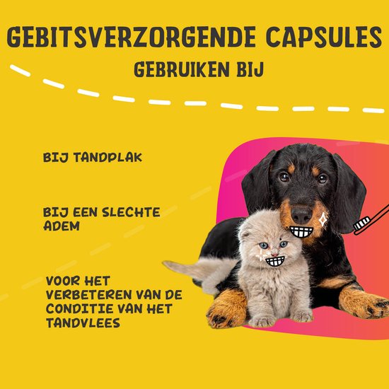 Gebitsverzorgende capsules voor honden en katten bij tandplak, slechte adem en tandvleesproblemen.
