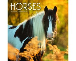 Paarden Kalender 2026