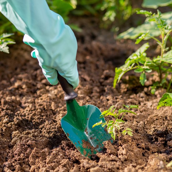 KADAX Tuingereedschapsset, robuuste mini-tuingereedschap, praktische gereedschapsset voor planten, meerdelige tuinset, tuinkit voor tuinverzorging (3-delige set Ver. C) van KADAX — afbeelding 2