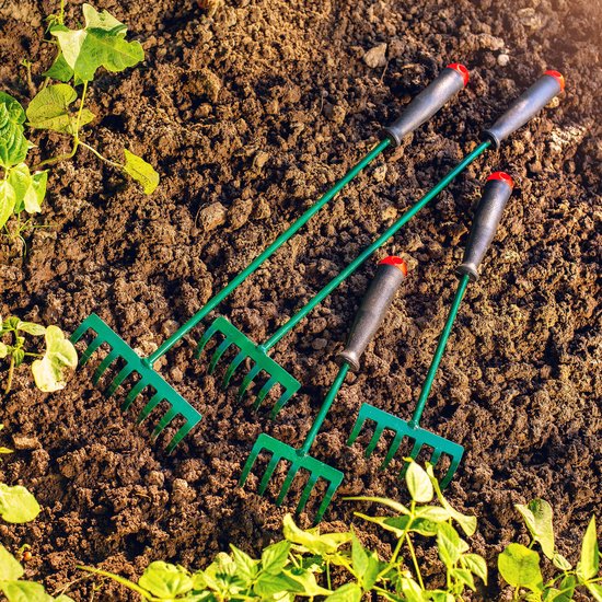 KADAX Hark, kleine hark met steel, bladbezem van metaal, bladhark voor tuin, bloembed, gazonhark, tuingereedschap, hooikoork, tuinhark, groen (30 cm, 6 tanden) van Merkloos	 — afbeelding 3