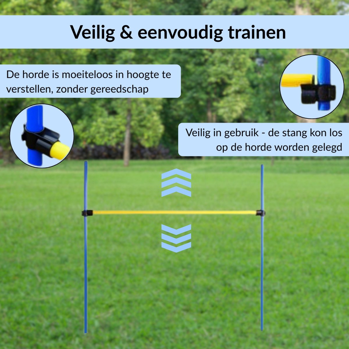16-delige set pionnen 50 cm, horden en stokken 120 cm - Sport en Spel voor dieren