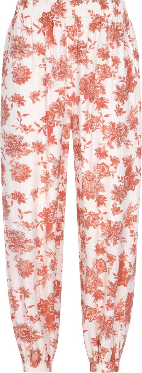 usha Broek