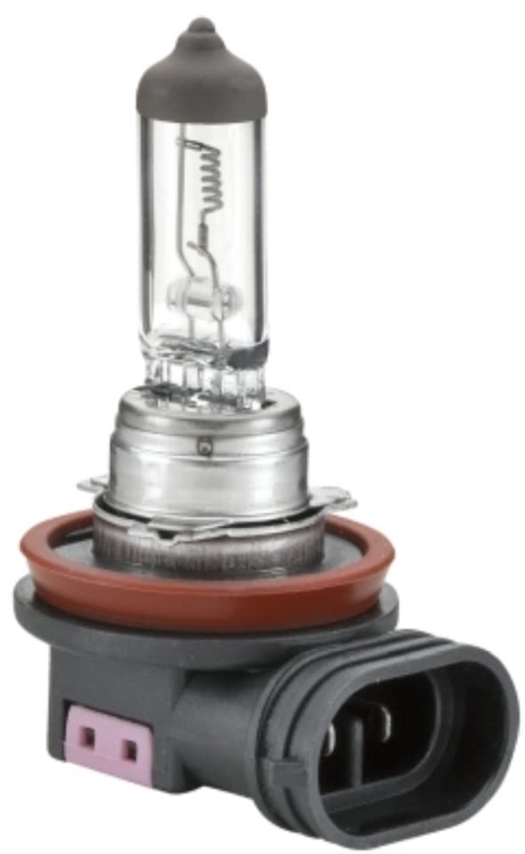 Zware Halogeen Gloeilamp H11 - 24V - 70W - PGJ19-2 - 1 Stuk