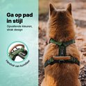 Achterkant van een Shiba Inu met groen hondentuigje. Opvallende kleuren, strak design, handvat van kunstleer.