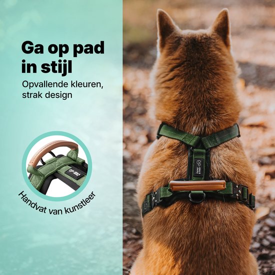 Achterkant van een Shiba Inu met groen hondentuigje. Opvallende kleuren, strak design, handvat van kunstleer.