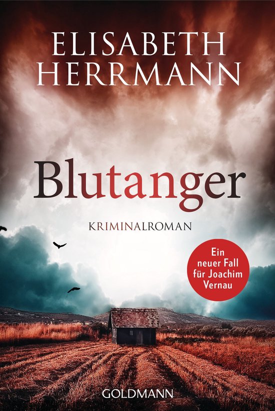 Joachim Vernau 8 - Blutanger - cover