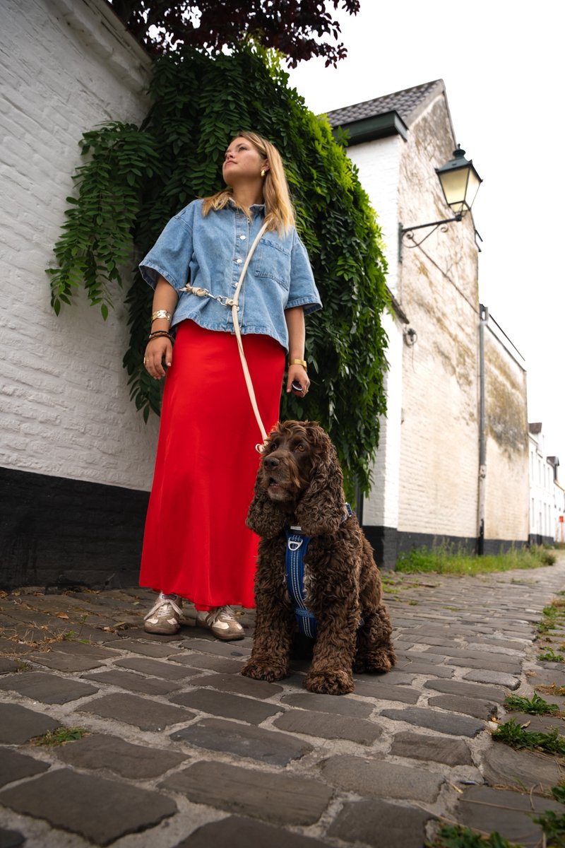 Cavlicious® Sport hondentuig - Y-tuig - honden tuigje - harnas hond -;anti-trek - anti-ontsnappingsharnas - blauw - L