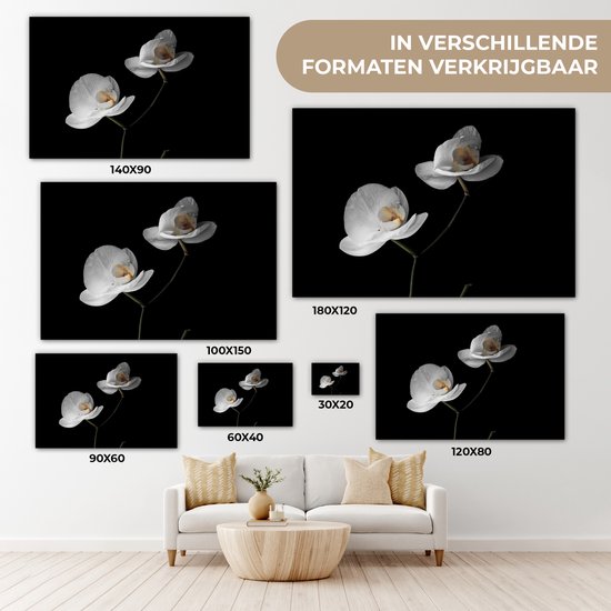 Tableau sur toile Orchidée - Fleurs - Zwart - Wit - Nature morte - 60x40 cm - Décoration murale