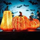 3 delig Herfst Decoratie met LED - Herfst Halloween - vintage Halloween - Pompoen