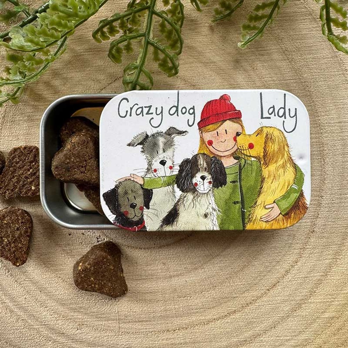Alex Clark Sliding little Tin Crazy Dog Lady ~ Langwerpig klein opbergblikje Honden