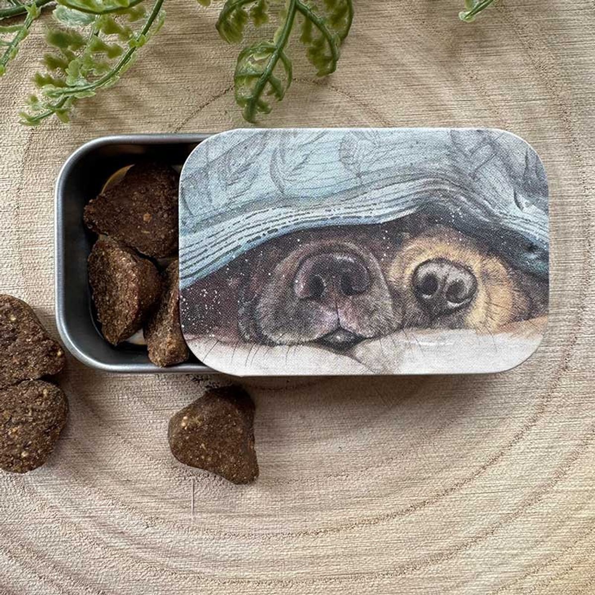 Alex Clark Sliding little Tin Snouts ~ Langwerpig klein opbergblikje Honden