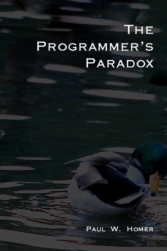 The Programmer's Paradox - cover