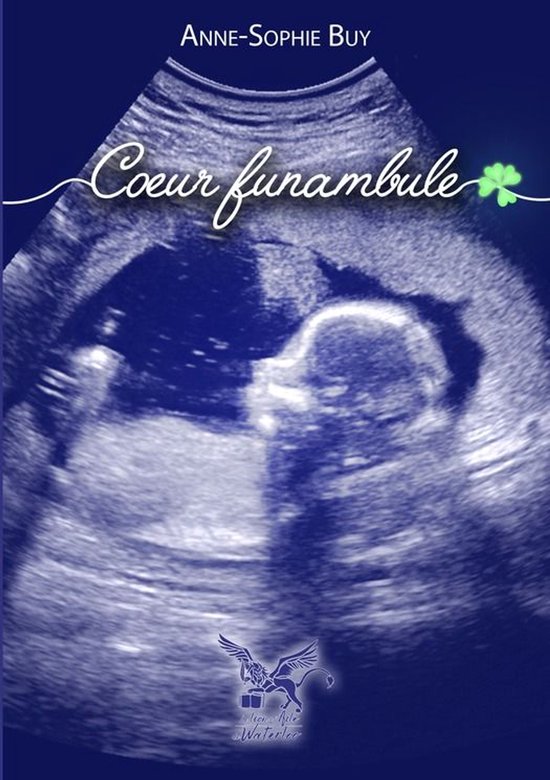 Coeur Funambule - cover