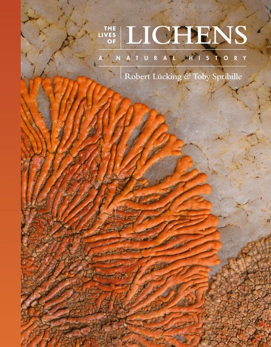 Omslag van The Lives of the Natural World - The Lives of Lichens